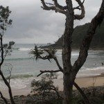 Noosa (2)