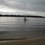 Noosa (8)