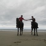 cape tribulation (10)