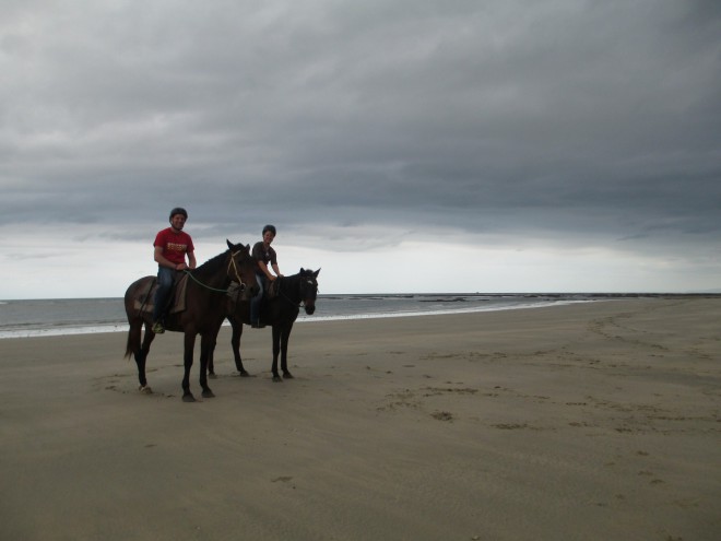 cape tribulation (11)