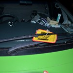 cape tribulation (2)