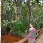 cape tribulation (3)