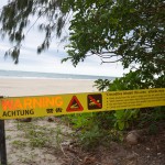cape tribulation (7)