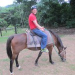 cape tribulation (9)