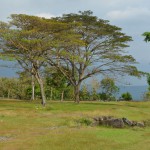 Kraton Ratu Boko (2)